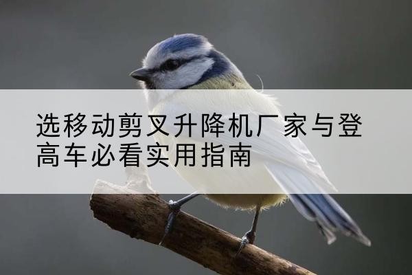 林州电动升降机厂家-选移动剪叉升降机厂家与登高车必看实用指南