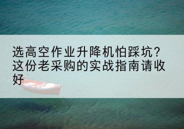 林州高空作业升降机厂家推荐-选高空作业升降机怕踩坑？这份老采购的实战指南请收好