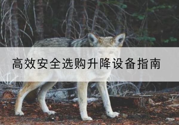 林州升降货梯厂家推荐-*安全选购升降设备指南