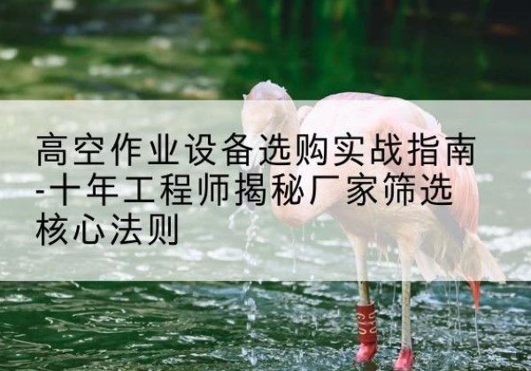 林州剪叉式升降机厂家-高空作业设备选购实战指南-十年工程师揭秘厂家筛选核心法则