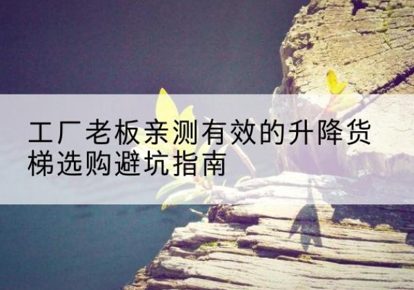 林州升降货梯怎么选-工厂老板亲测有效的升降货梯选购避坑指南